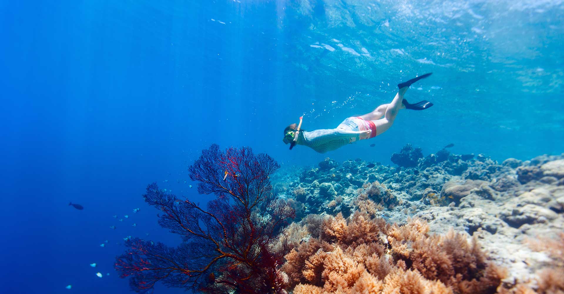 Scopello and Zingaro Reserve